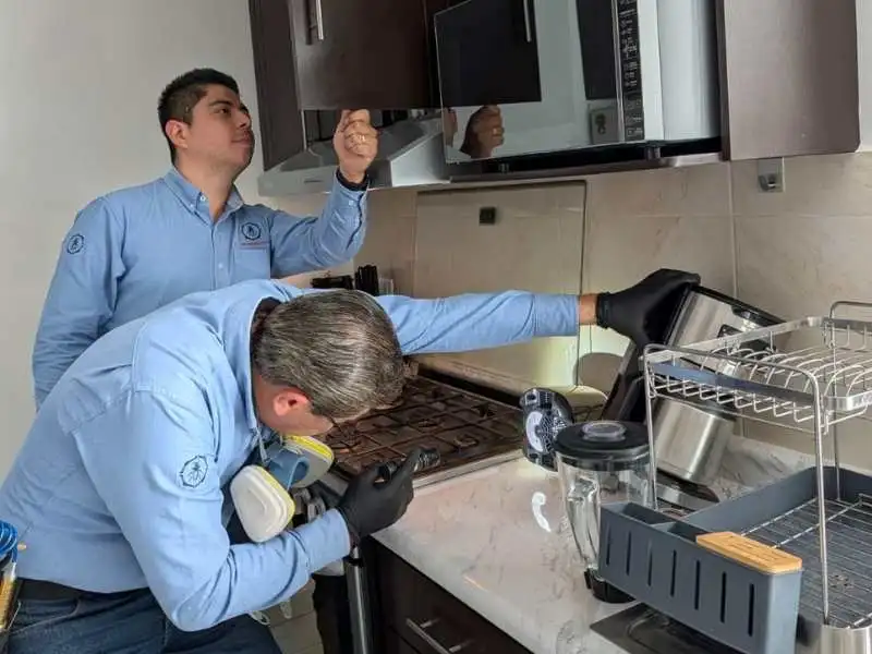 Técnico realizando inspección de cucarachas bajo tarja con linterna